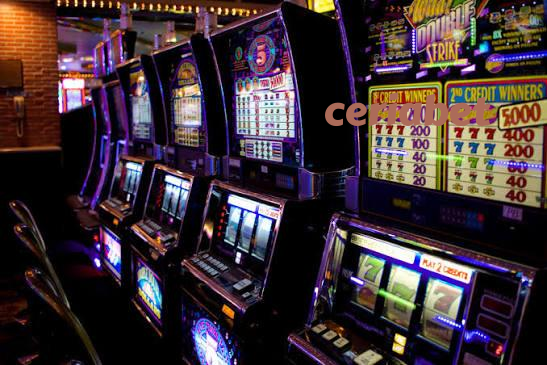 ceriabet Live Dealer Tables at Your Fingertips